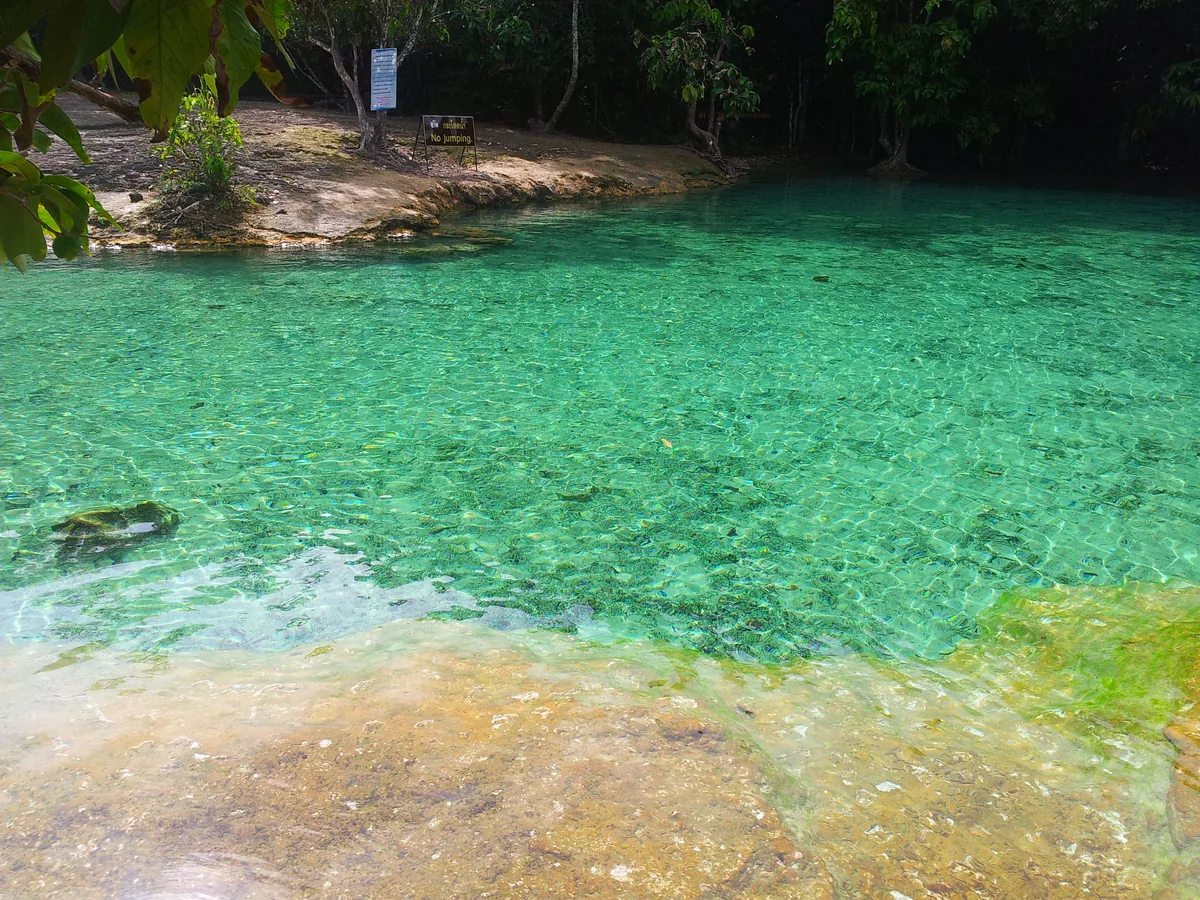 Изумрудный бассейн в джунглях Краби