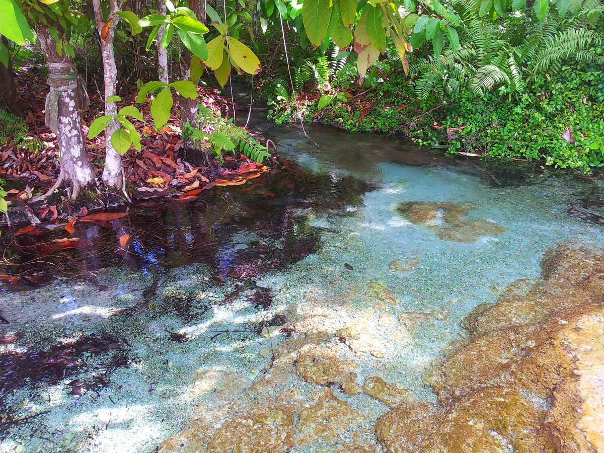 Природный источник — купание в лесном водоёме Краби